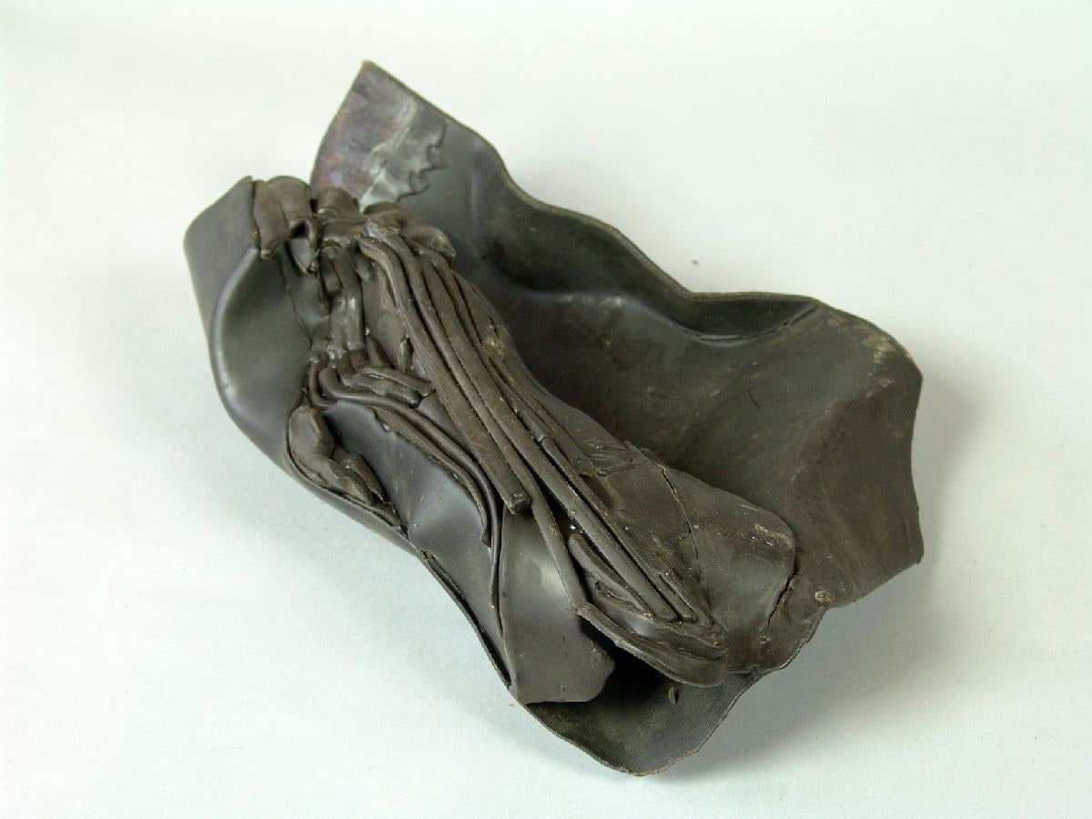 Wax Model