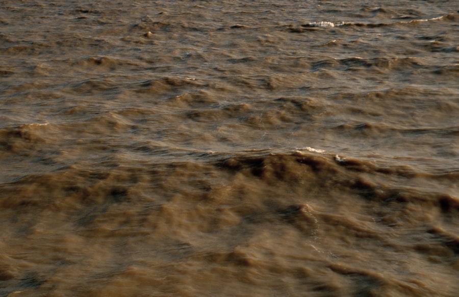 El Río de la Plata