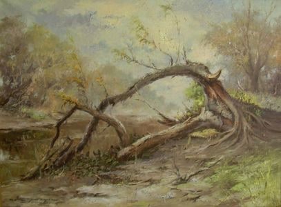 Arco vegetal