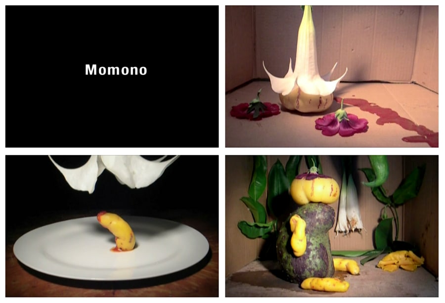 Momono