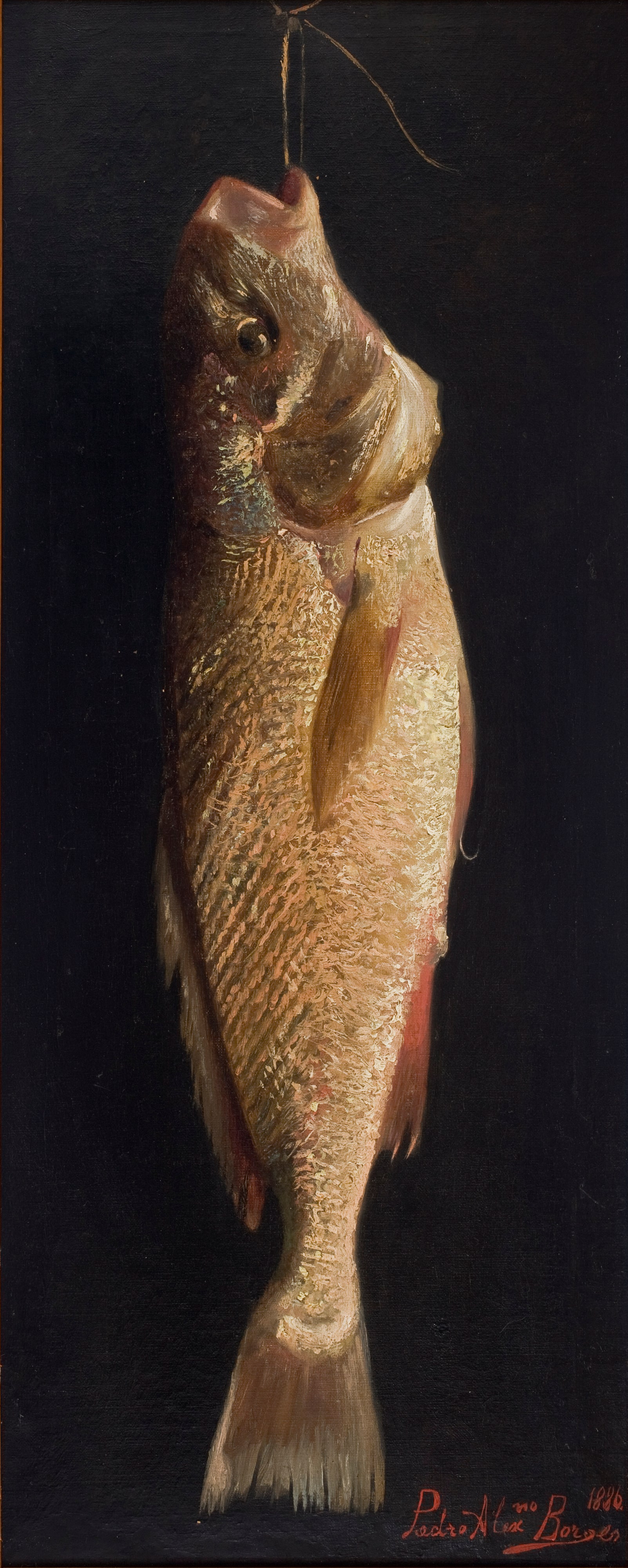 Peixe