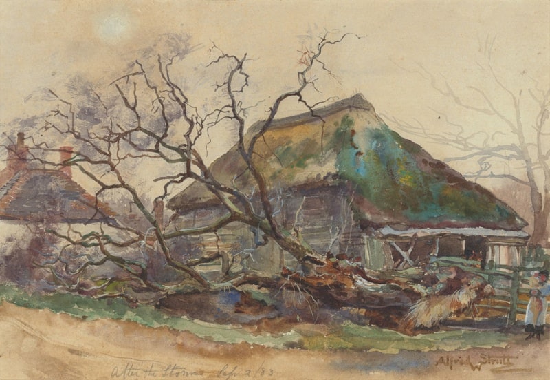 After the storm
