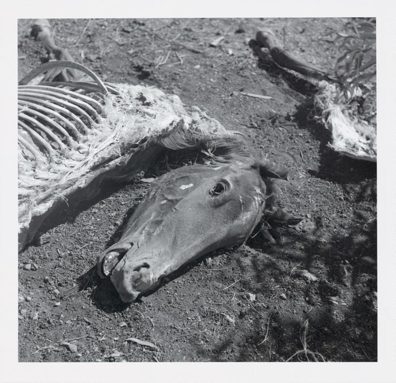 'Drought' series