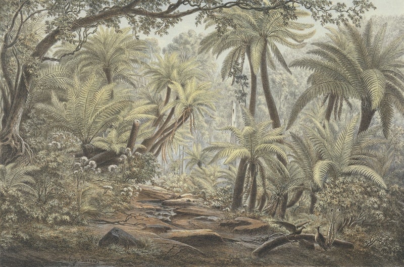Ferntree Gully, Dandenong
