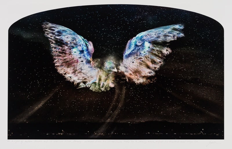 On a night of meteor showers and lit uranium mines, Jeremy - released from his chickenhawk body by a passing truck, unfolds his thousand-eyed wings