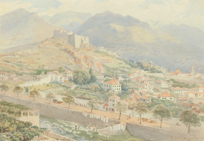 Pontina, Funchal Bay, Madeira