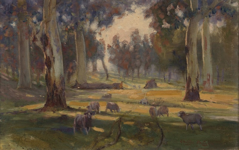Sheep in shadows