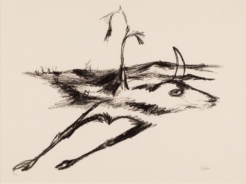 Untitled (from drought series)