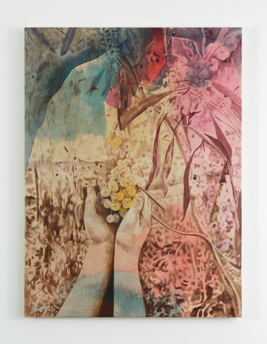Touching Wattle