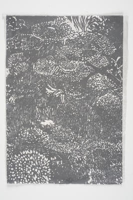 Untitled (Coral series)