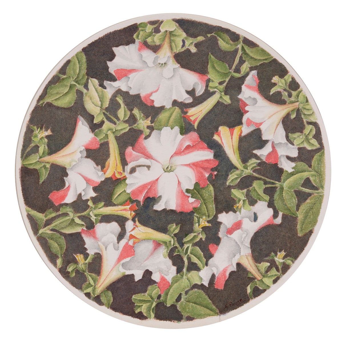 Petunias