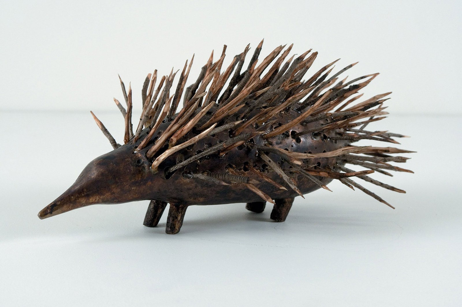 Echidna