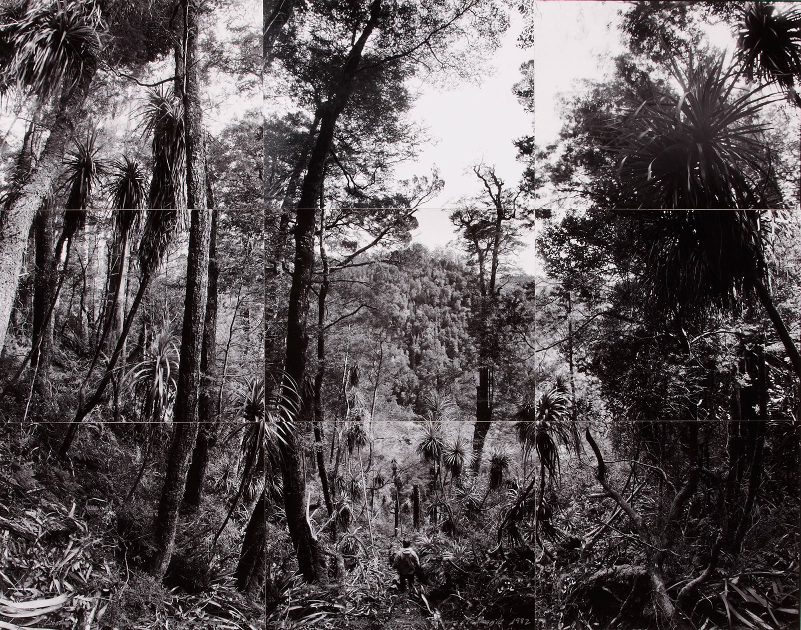 Self portrait looking down a survey cut, proposed site of Gordon below Franklin Dam, Tasmania
