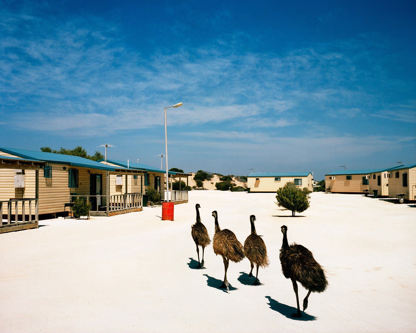Shark Bay, WA from the series 'Welcome to Nowhere'