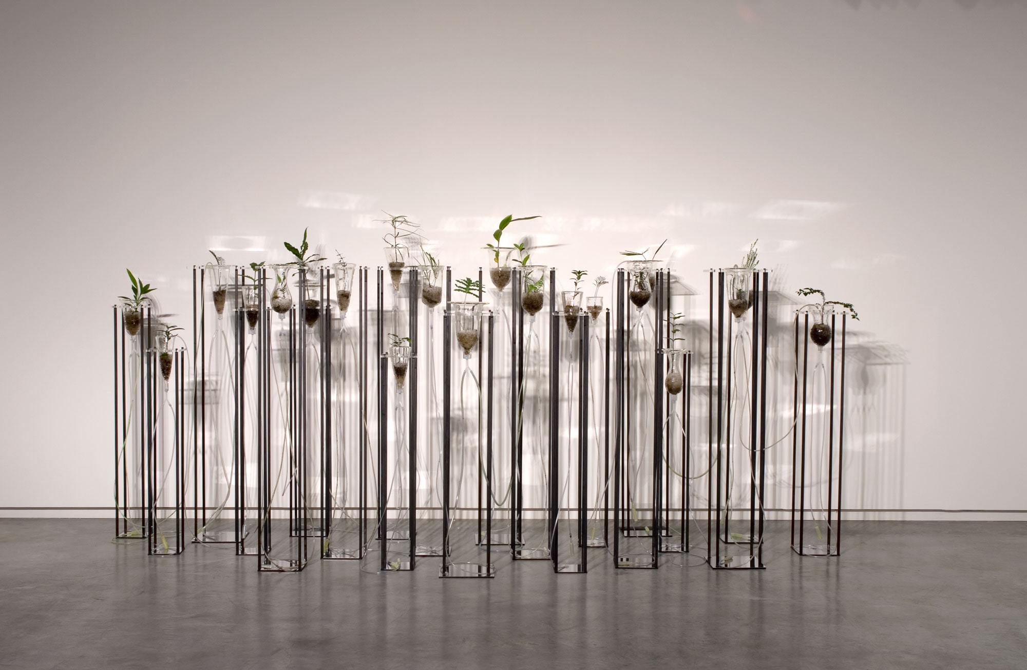 Cellular Gardens (where breathing begins)