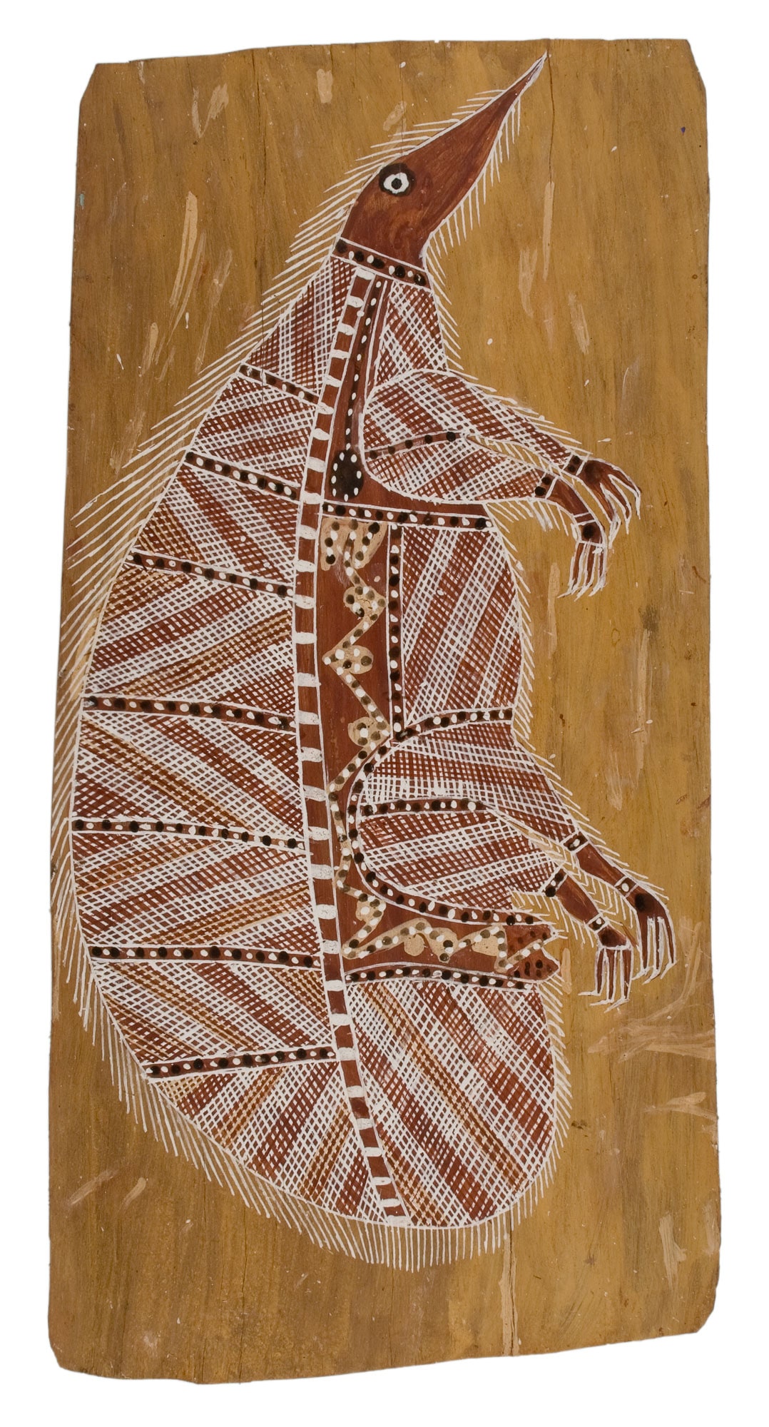 Ngarrbek, Echidna