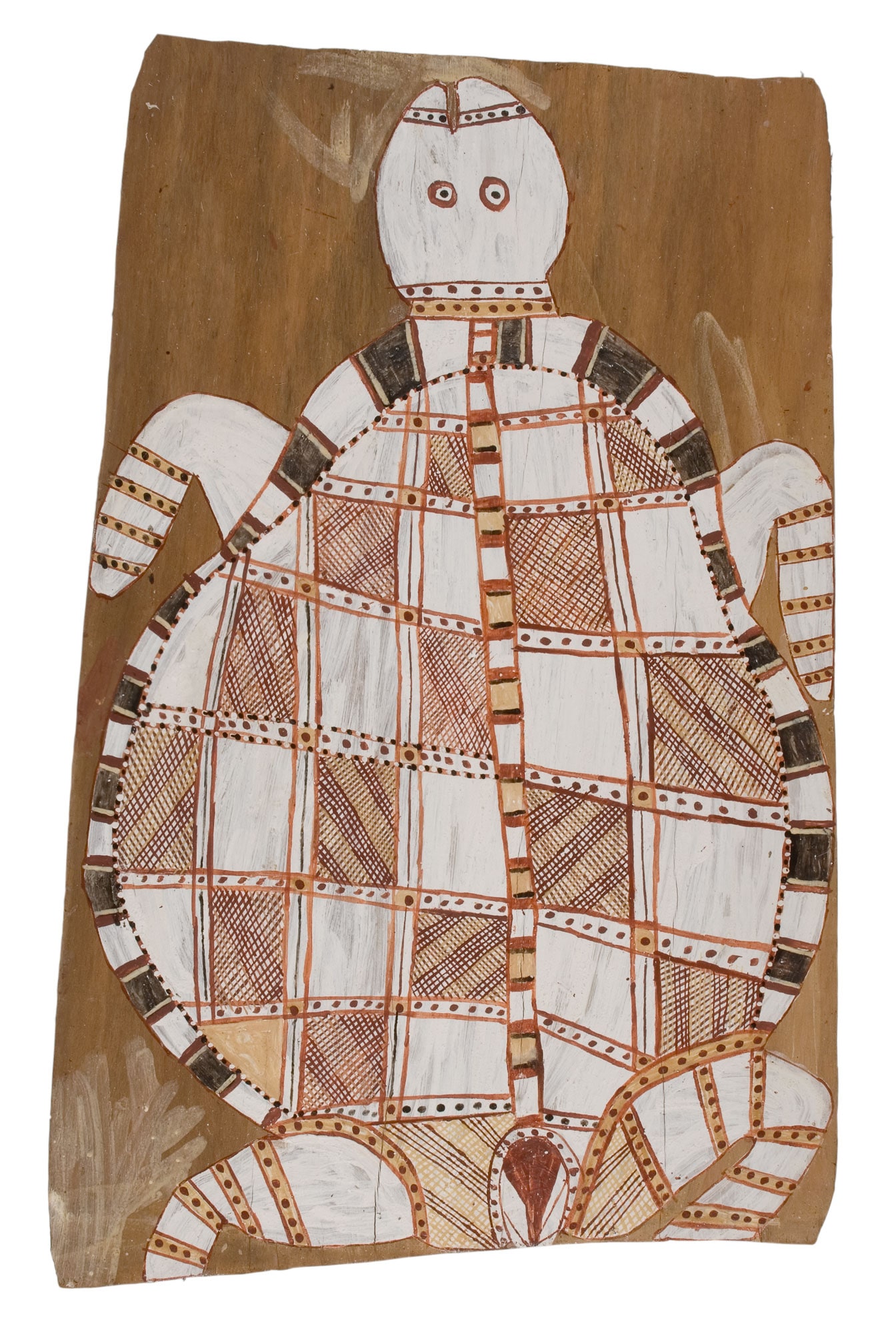 Mardayin, Turtle