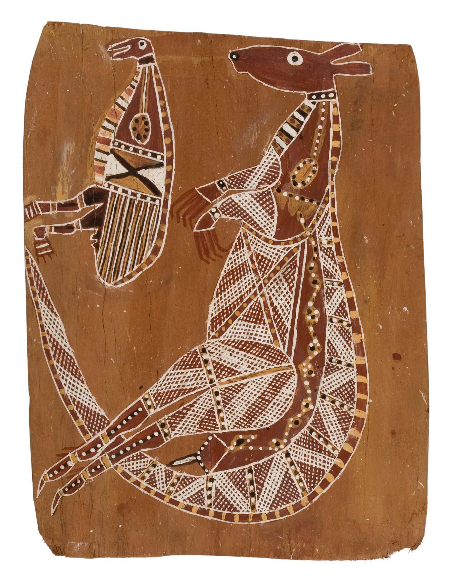 Benok, Bush Turkey and Kandakidj, male Antilopine Kangaroo