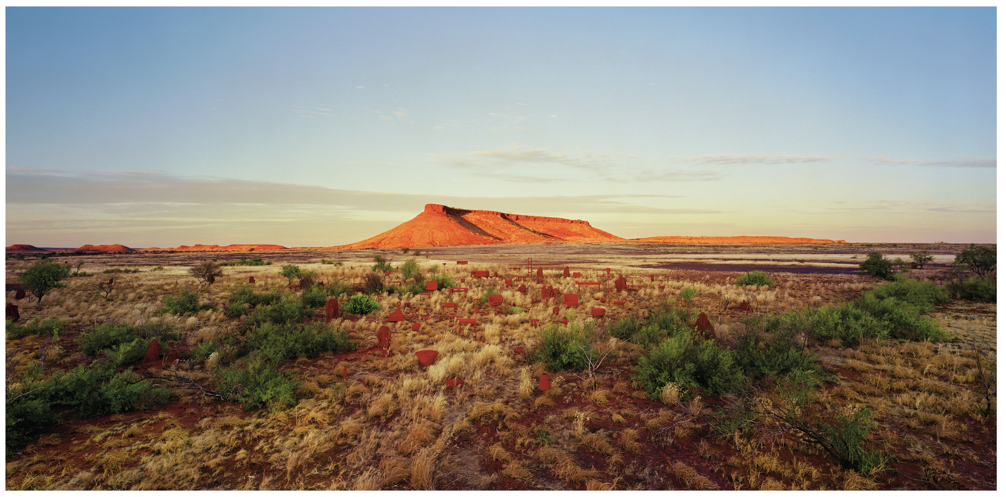 brumby mound #6