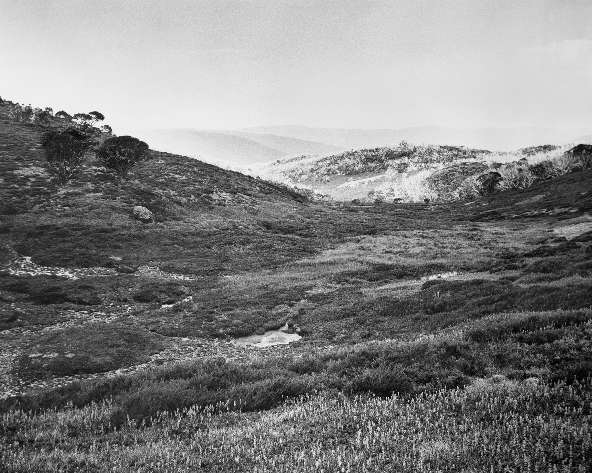 Bogong High Plains Alpine National Park (4582/9)