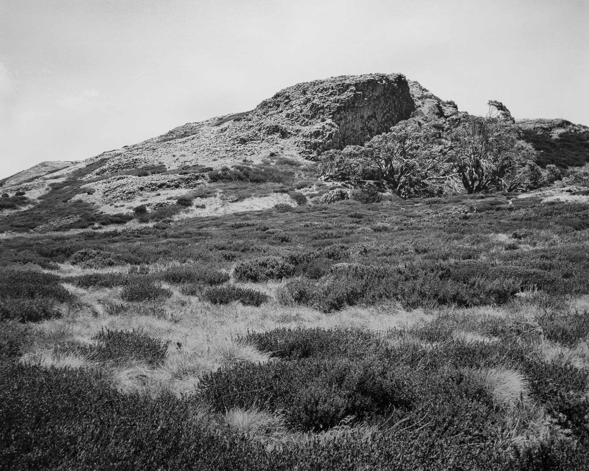 Bogong High Plains Alpine National Park (4582/18)