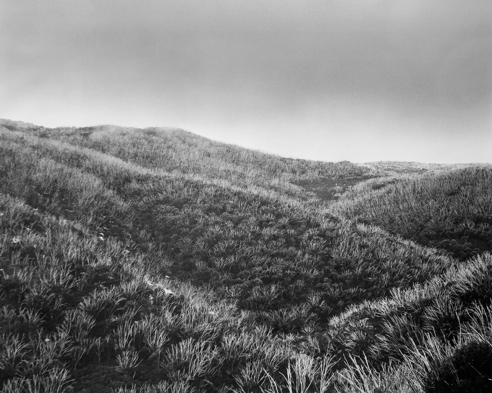 Bogong High Plains Alpine National Park (4417/1)