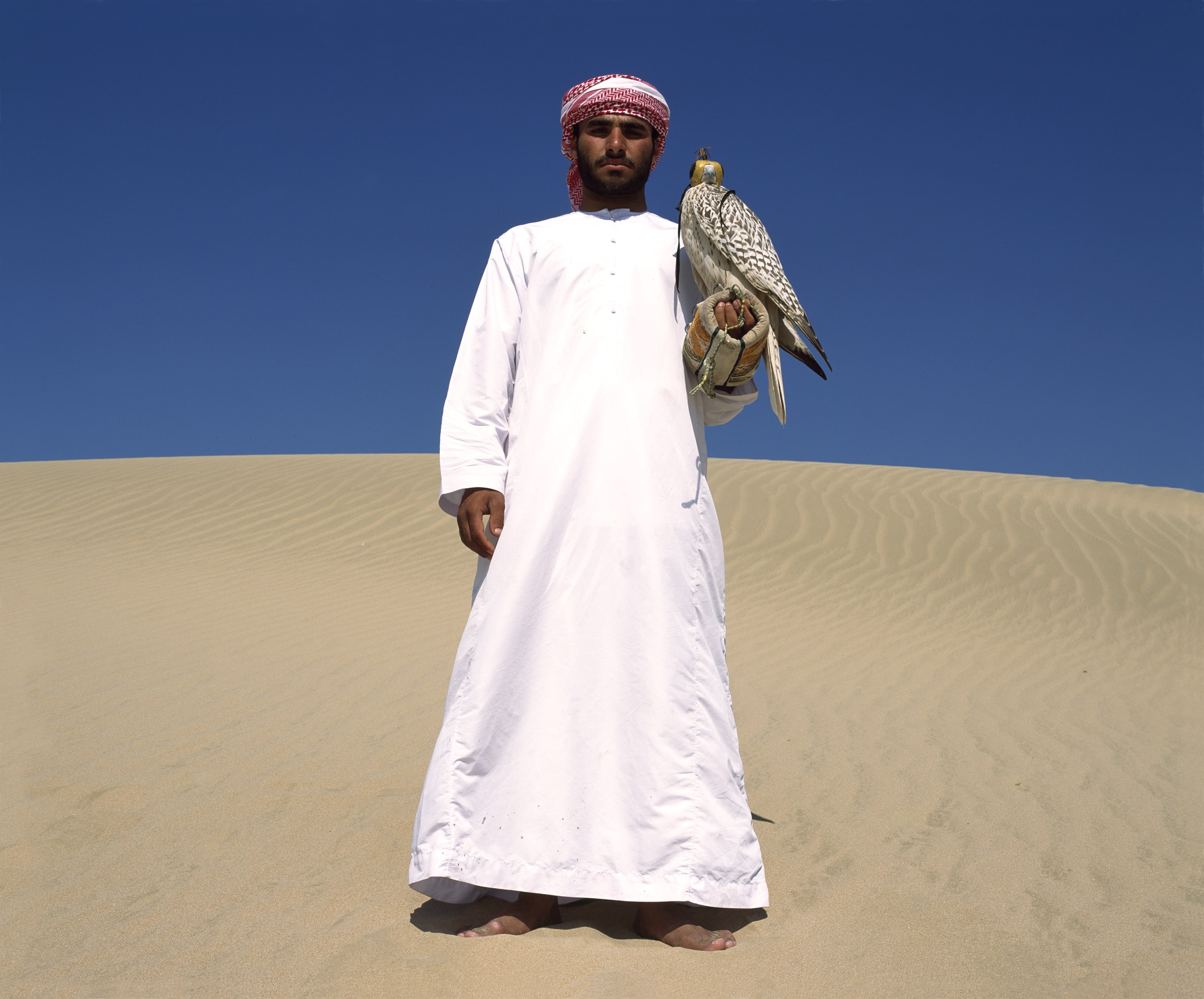 Kaleef and Sheikhs' Saqr
