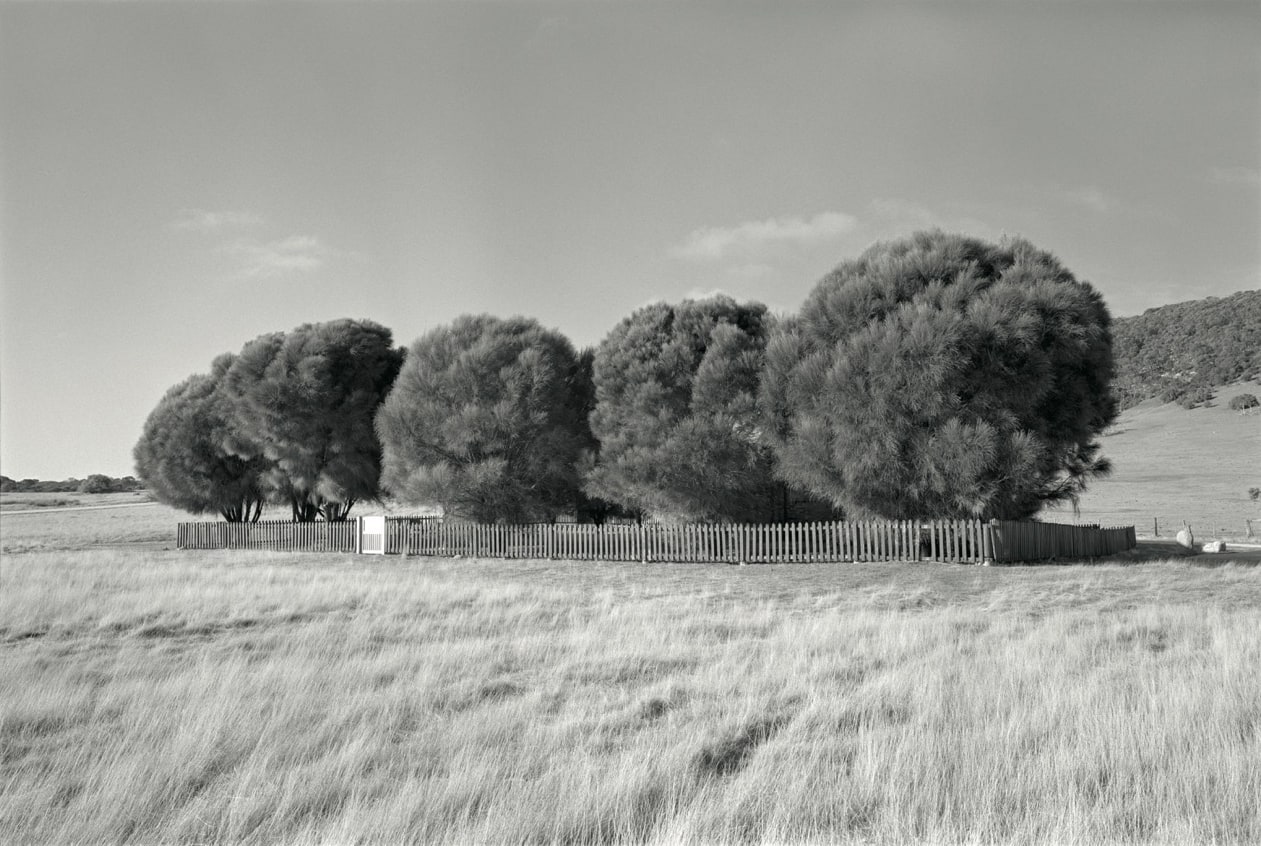 The Healing Garden, Wybalenna, Flinders Island, Tasmania, from Portrait of a Distant Land
