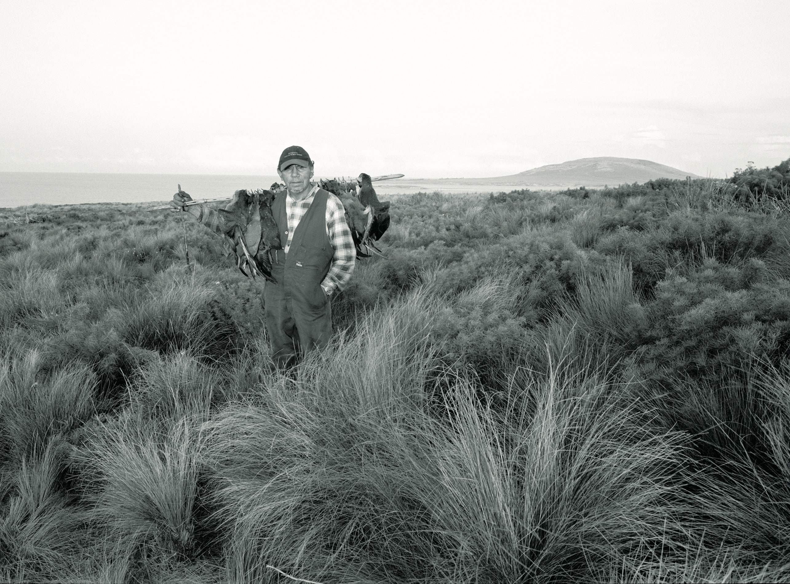 Coming Home, from Portrait of a Distant Land