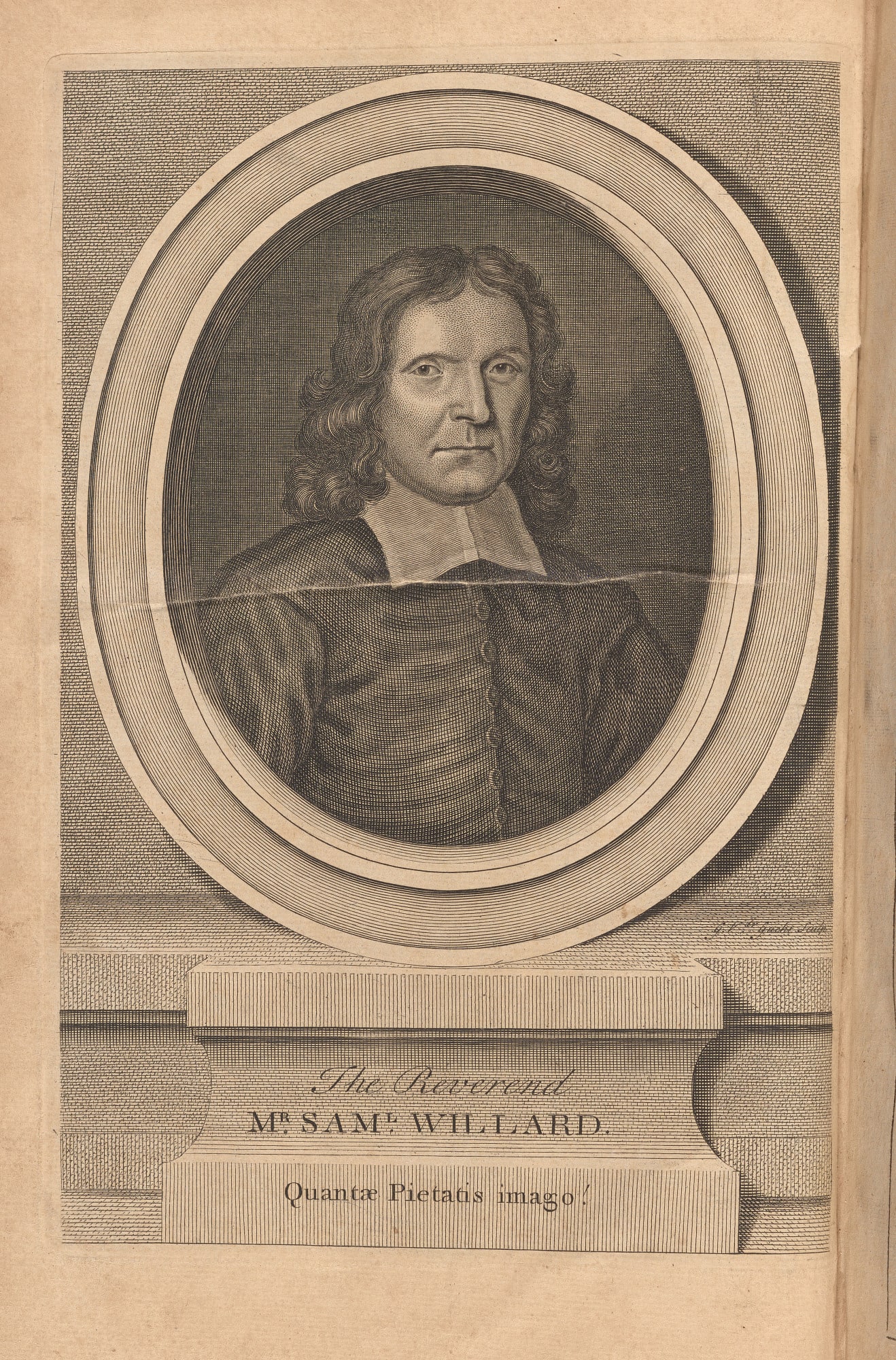 Samuel Willard