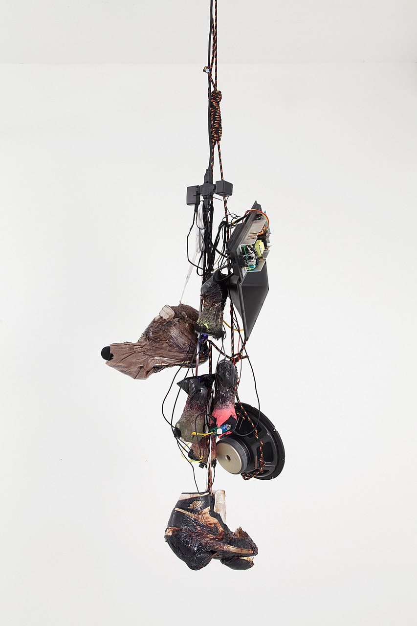 Strange Fruit (Pair 1)