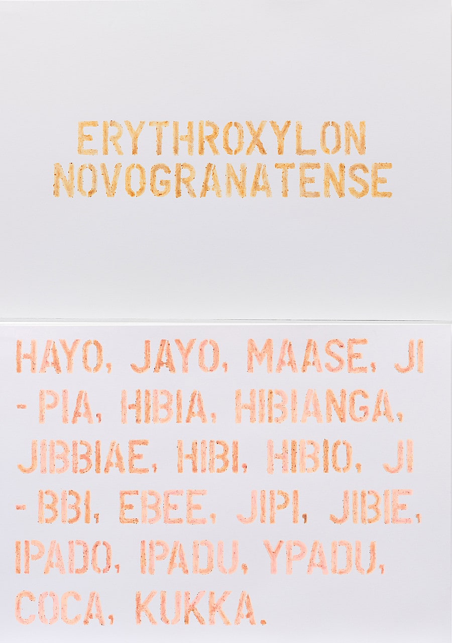 Colonial and Indigenous Names of the Coca Plant