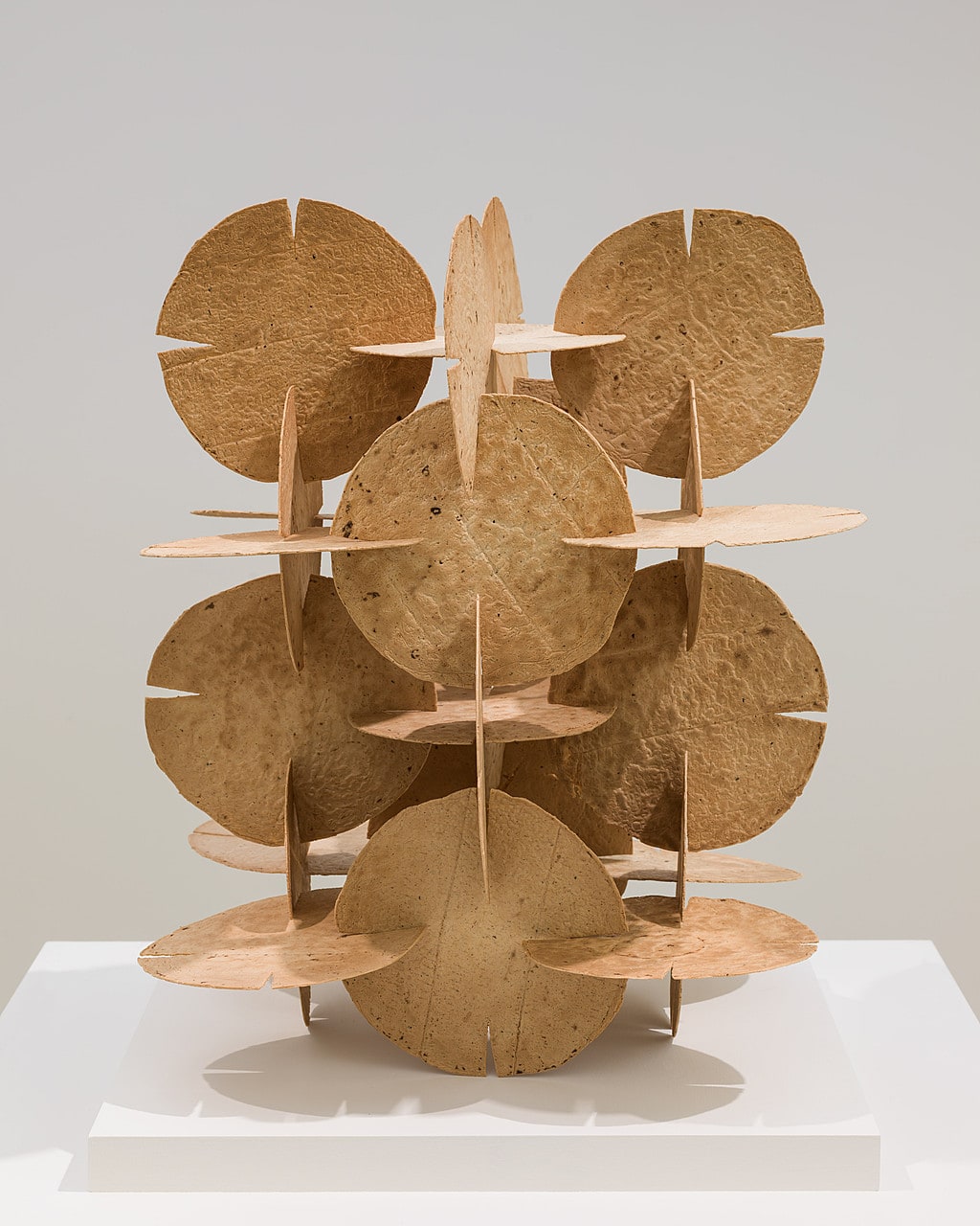 Tortillas Construction Module