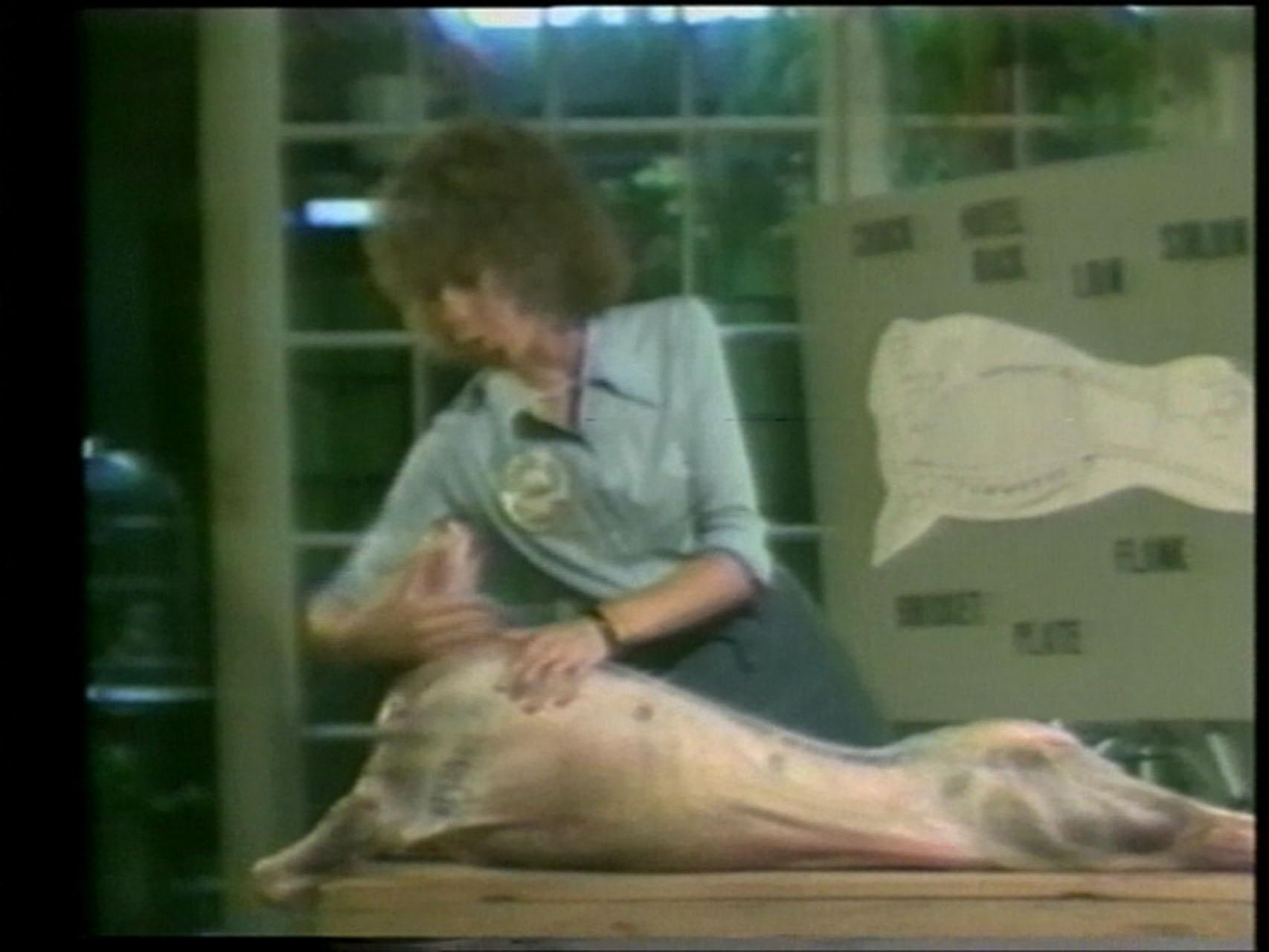 Learn Where the Meat Comes From (Aprende de dónde viene la carne)