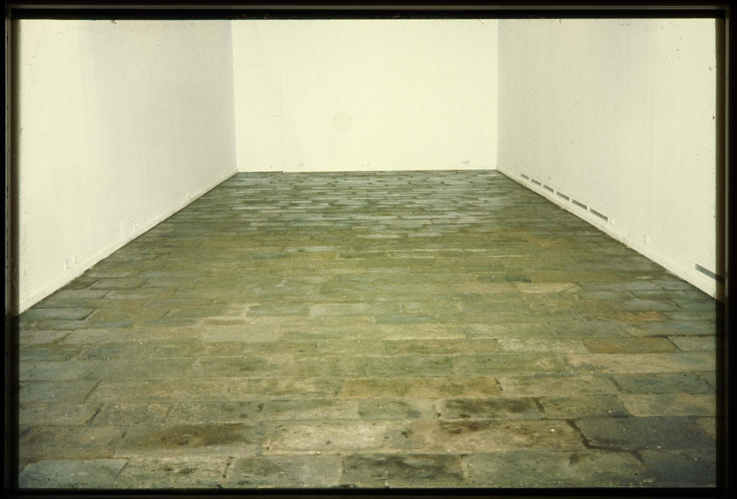 Explorando el suelo, Sala Montcada, Barcelona