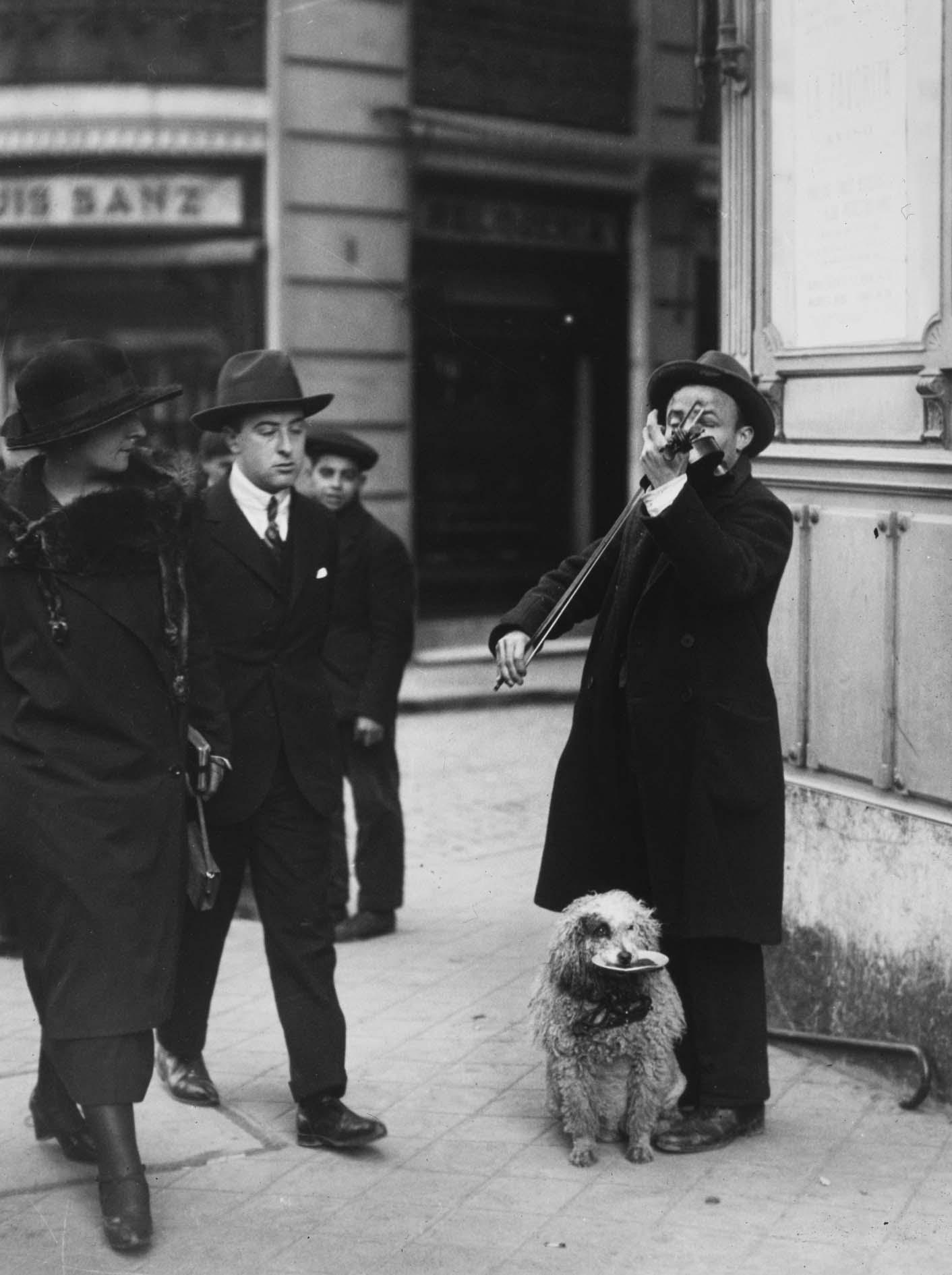 Violinista con perro