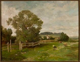 Landscape with cows