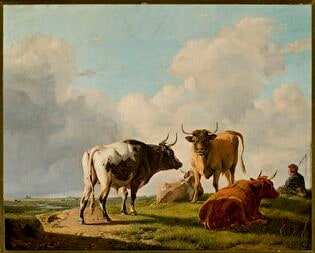 Cows in the pasture