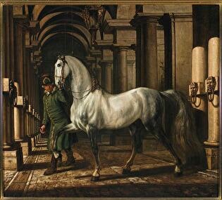 Stable boy leading a horse