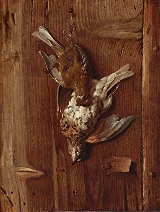 Dead birds (Thrush and fieldfare)