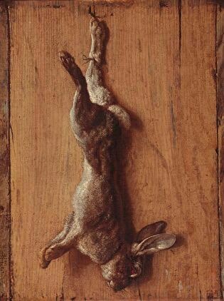 Dead hare