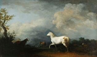 Band of horses