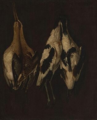 Fowled Birds