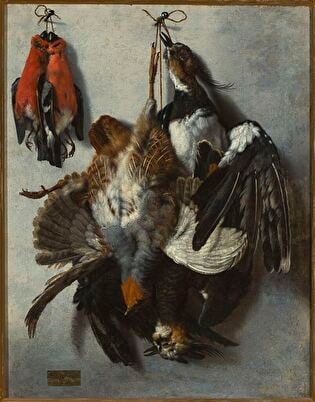 Hunting trophies