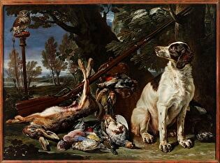 Dog, hunting trophies and an owl