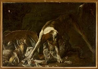 Dog attacking a cat
