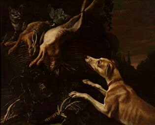 Dog attacking a cat