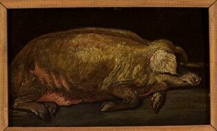 Sleeping pig