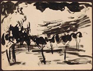 Trees and stormy sky (9)