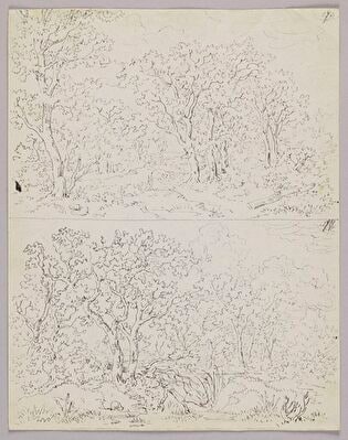 Four Landscapes